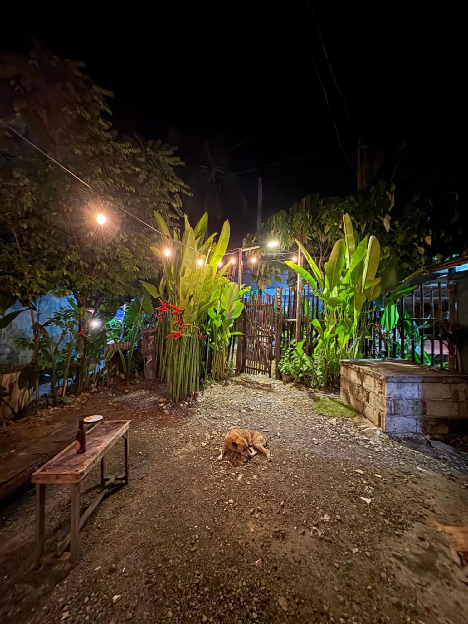 Jaydy Hostel ゼネラル・ルナ エクステリア 写真